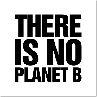 There Is No Planet B Black Posters and Art